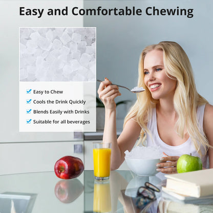 ❄️ Portable Pellet Ice Maker