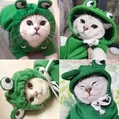 Warm Frog Design Cat Hoodie Sweatshirts with Hat - Basic Kitten Hoodie for Small, Medium and Large Kitten S M l XL XXL