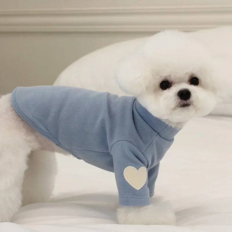 ❄️ Cold Streets, Warm Paws ❄️