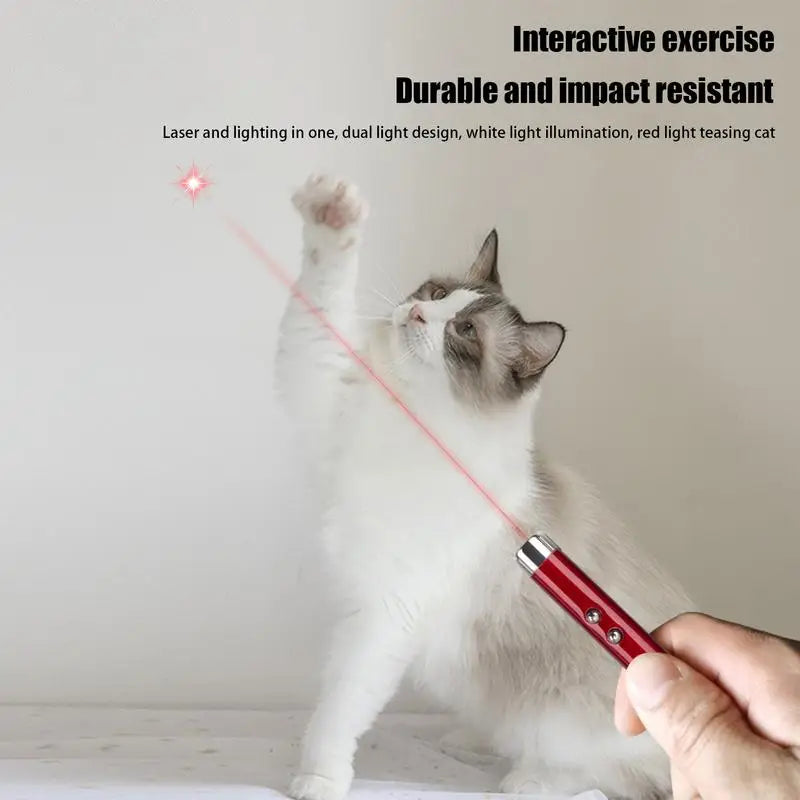 Laser Pointer for Cats Interactive Pet Laser Toy Pet Enrichment Toys for Indoor Cat Kitten to Play  Exercise
