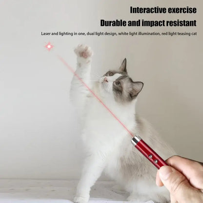 Laser Pointer for Cats Interactive Pet Laser Toy Pet Enrichment Toys for Indoor Cat Kitten to Play  Exercise