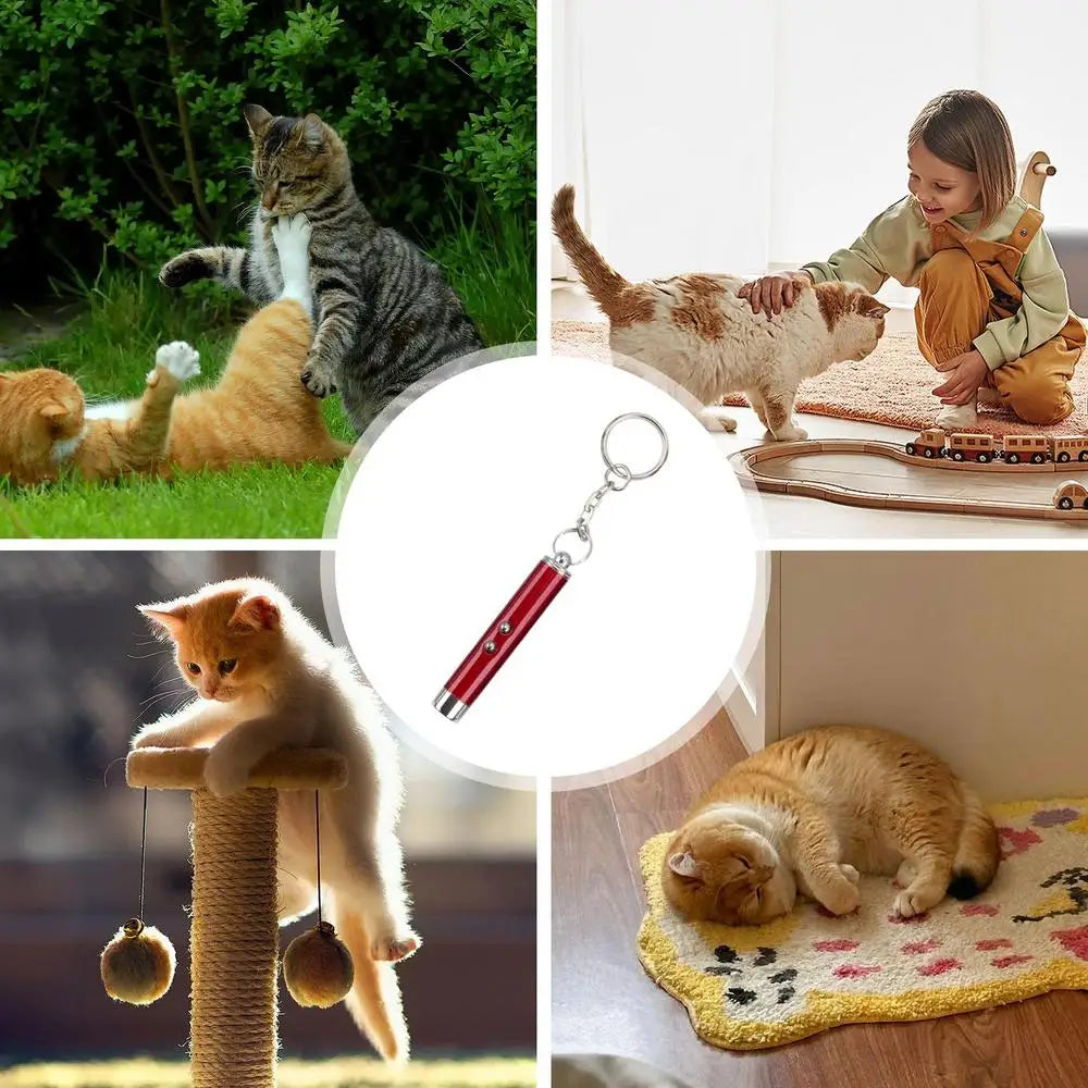 Laser Pointer for Cats Interactive Pet Laser Toy Pet Enrichment Toys for Indoor Cat Kitten to Play  Exercise
