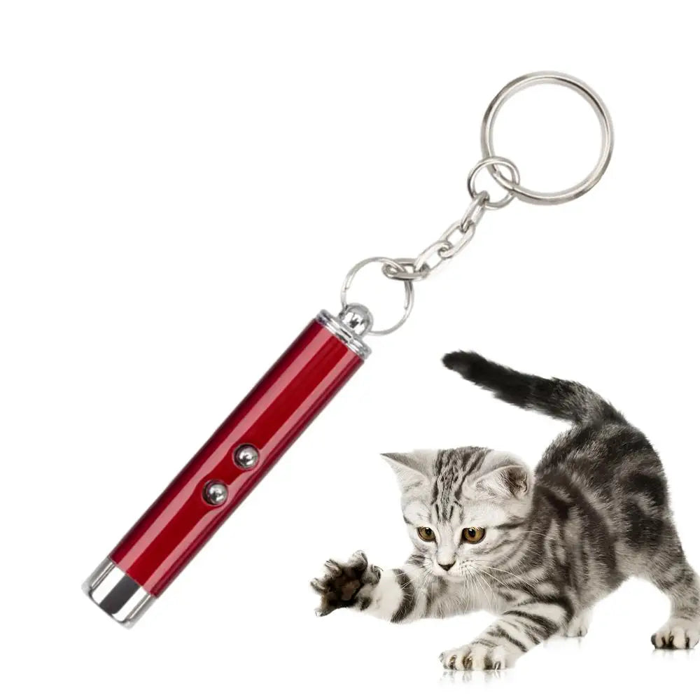 Laser Pointer for Cats Interactive Pet Laser Toy Pet Enrichment Toys for Indoor Cat Kitten to Play  Exercise