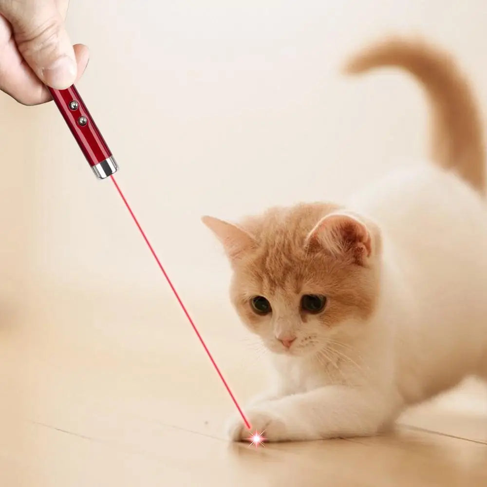 Laser Pointer for Cats Interactive Pet Laser Toy Pet Enrichment Toys for Indoor Cat Kitten to Play  Exercise