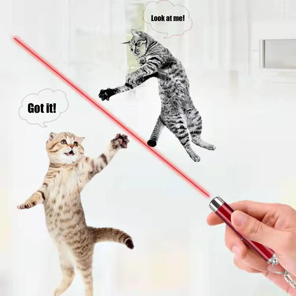 Laser Pointer for Cats Interactive Pet Laser Toy Pet Enrichment Toys for Indoor Cat Kitten to Play  Exercise