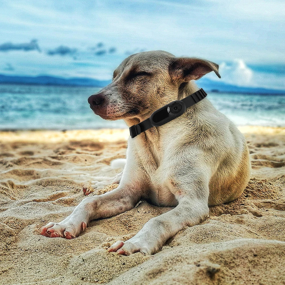 HD 1080P Dog Tracker Collar No WiFi Needed Dog Cat Pet Camera Collar Pet Sport Camera Video Records for Cats Dogs Birthday Gift