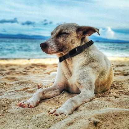 HD 1080P Dog Tracker Collar No WiFi Needed Dog Cat Pet Camera Collar Pet Sport Camera Video Records for Cats Dogs Birthday Gift