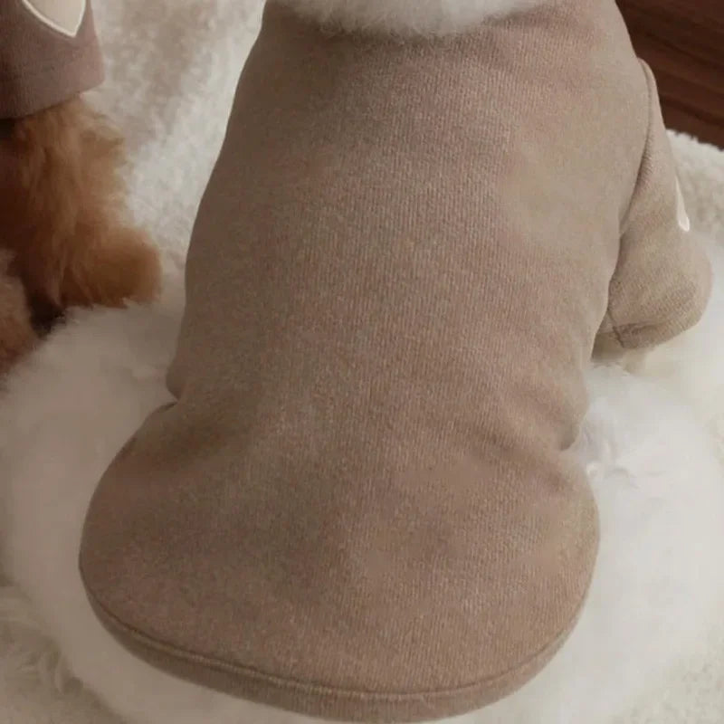 ❄️ Cold Streets, Warm Paws ❄️