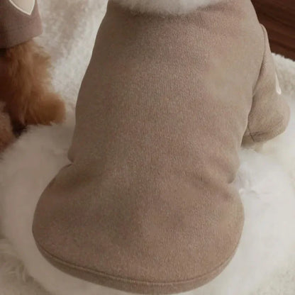 ❄️ Cold Streets, Warm Paws ❄️