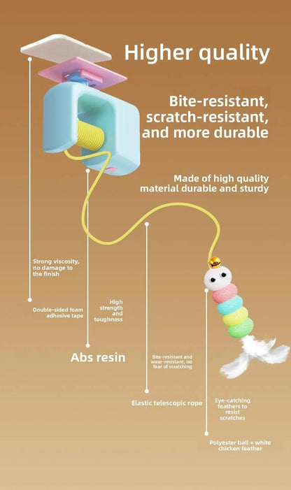 Electric Cat Entertainment ⚡🐈