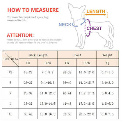 🖤 Frost Fades, Warm Remains 🖤