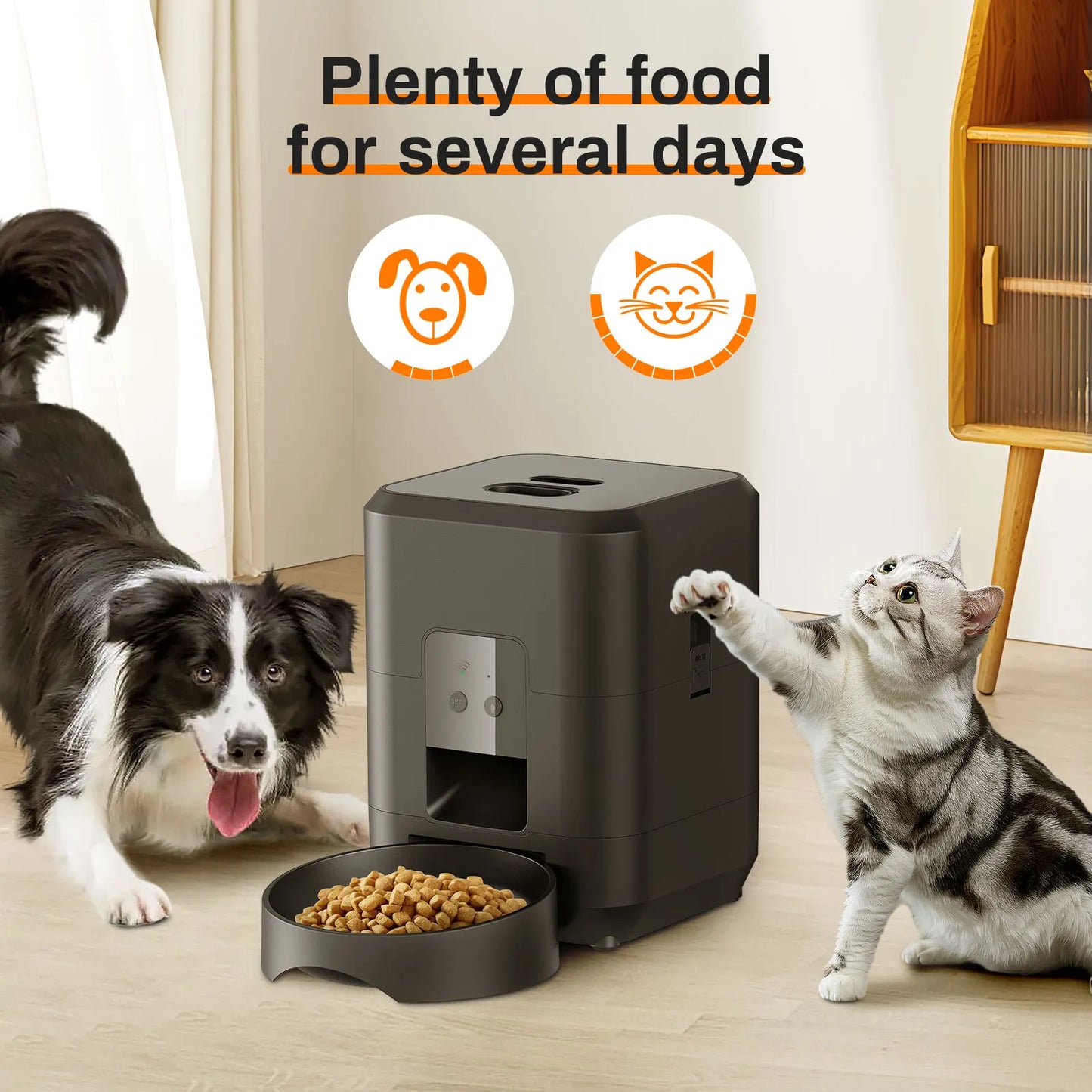🐾 Automatic Smart Pet Feeder
