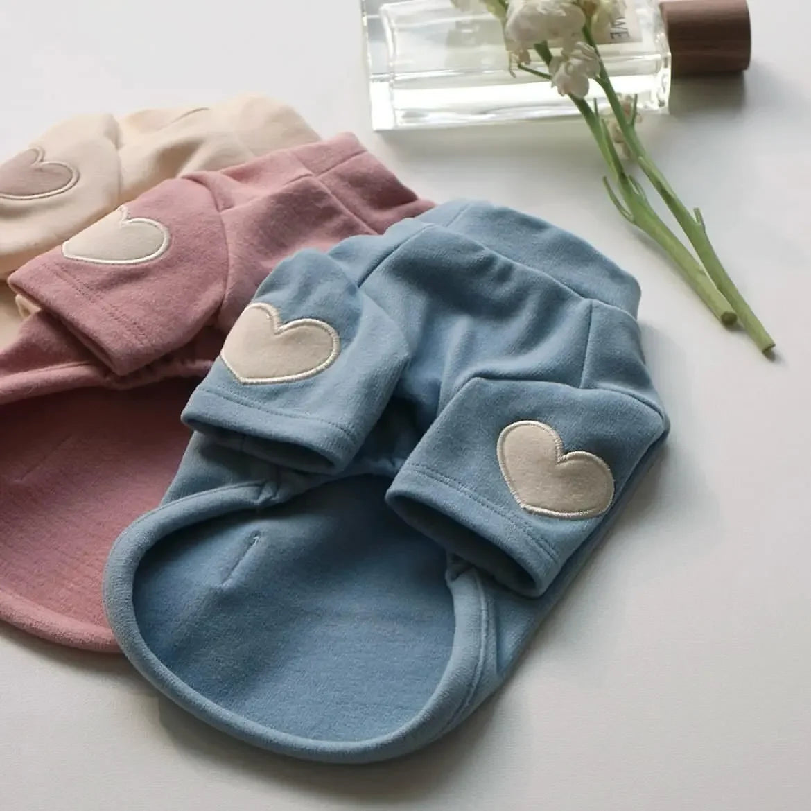 ❄️ Cold Streets, Warm Paws ❄️