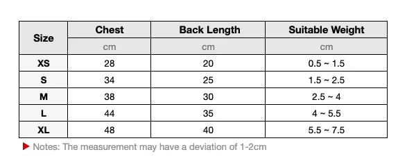 ❄️ Cold Streets, Warm Paws ❄️