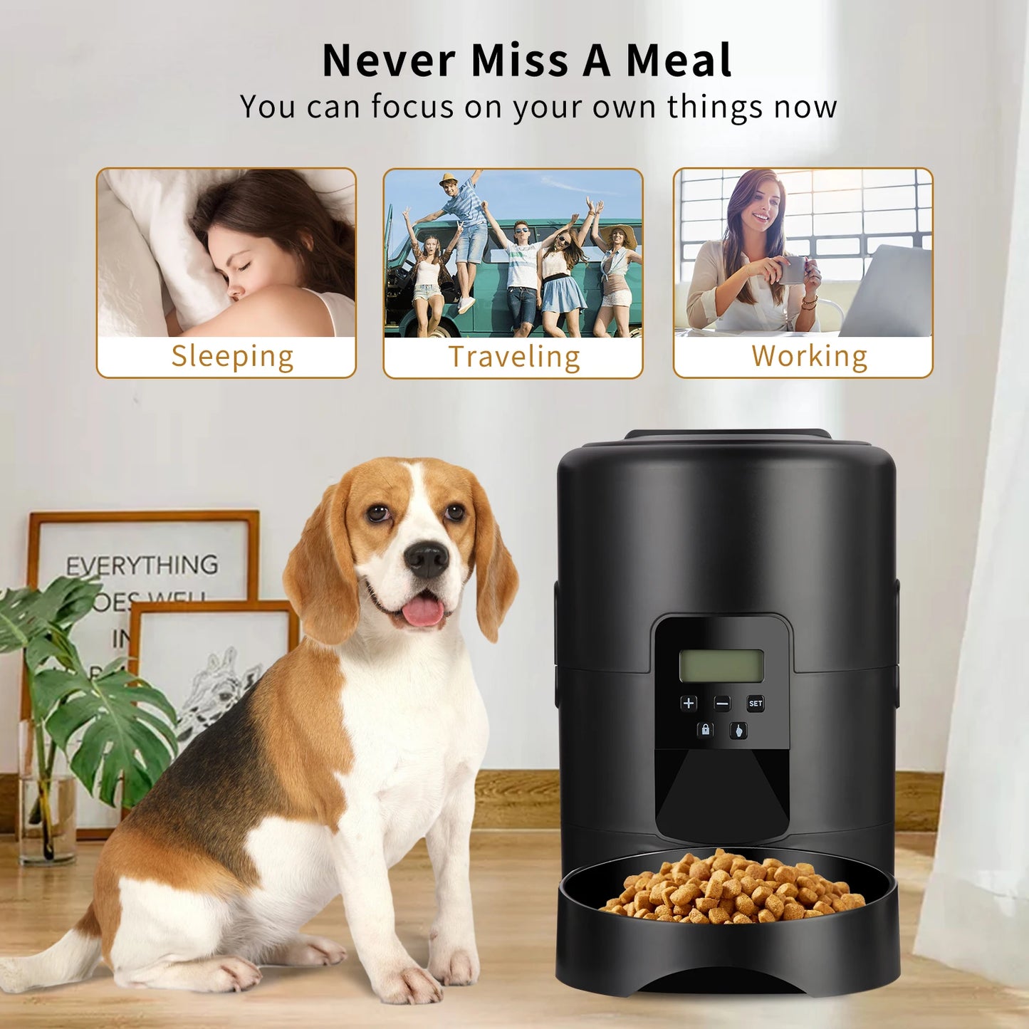 🐾 Automatic Smart Pet Feeder
