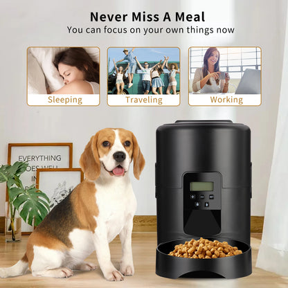 🐾 Automatic Smart Pet Feeder
